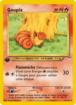 Goupix 91/105