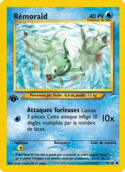 R&eacute;moraid 80/105