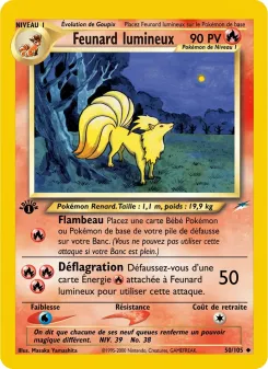Feunard lumineux 50/105