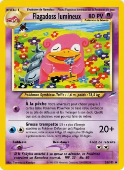 Flagadoss lumineux 51/105
