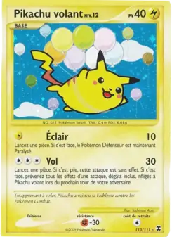 Pikachu volant Niv. 12 113/111