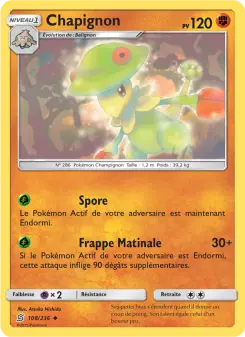 Chapignon 108/236