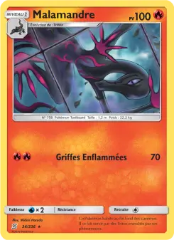 Malamandre 34/236
