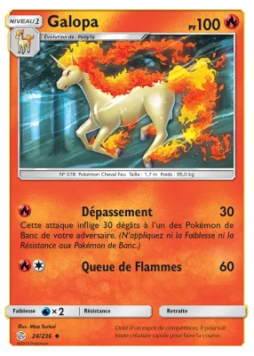 Galopa 24/236