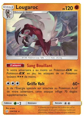 Lougaroc 124/236
