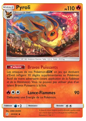 Pyroli 25/236