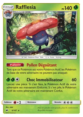 Rafflesia 6/147