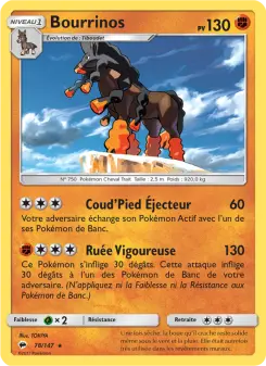 Bourrinos 78/147