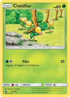 Ch&eacute;tiflor 1/168