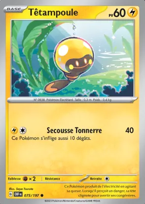 T&ecirc;tampoule 075/197
