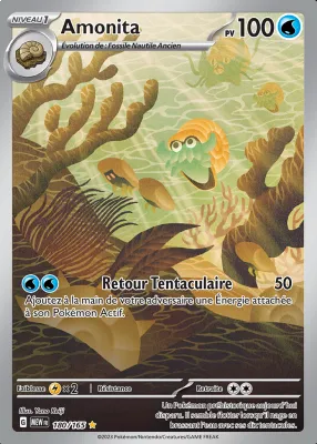 Amonita 180/165