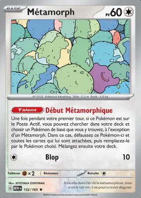 M&eacute;tamorph 132/165