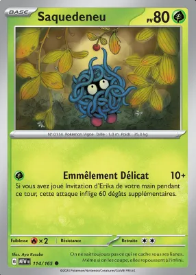 Saquedeneu 114/165