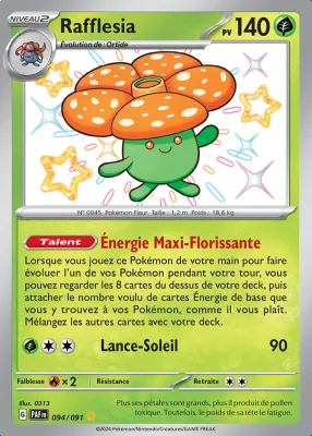 Rafflesia 094/091