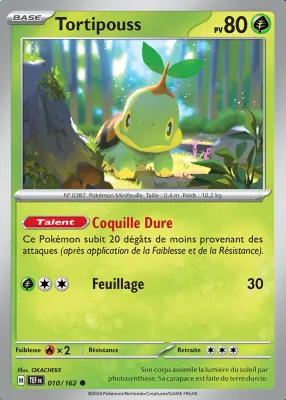 Tortipouss 010/162