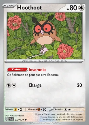 Hoothoot 077/131
