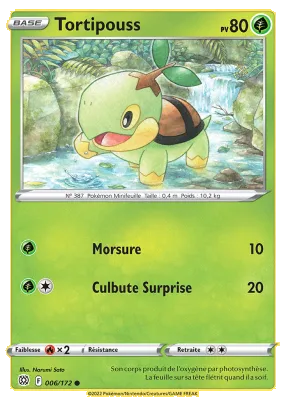 Tortipouss 006/172
