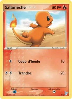 Salam&egrave;che 2/12