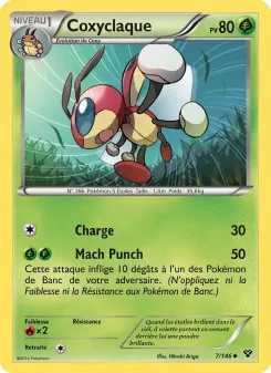Coxyclaque 7/146