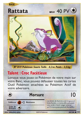 Rattata 66/108