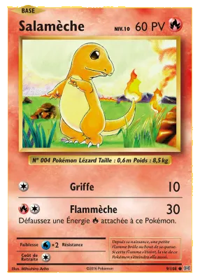 Salam&egrave;che 9/108