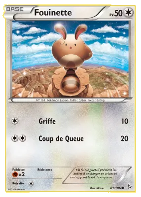 Fouinette 81/106