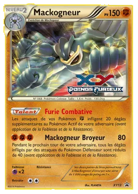 Mackogneur XY13